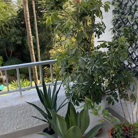 Luminoso En Segunda Linea Playa 438 公寓